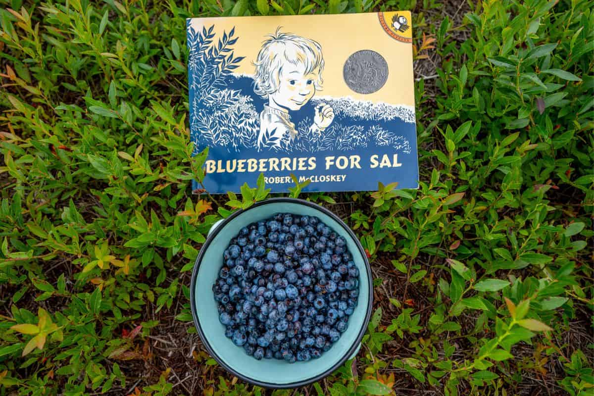 The cover of the picture book "Blueberries For Sal" next to a pail full of blueberries in a blueberry field.