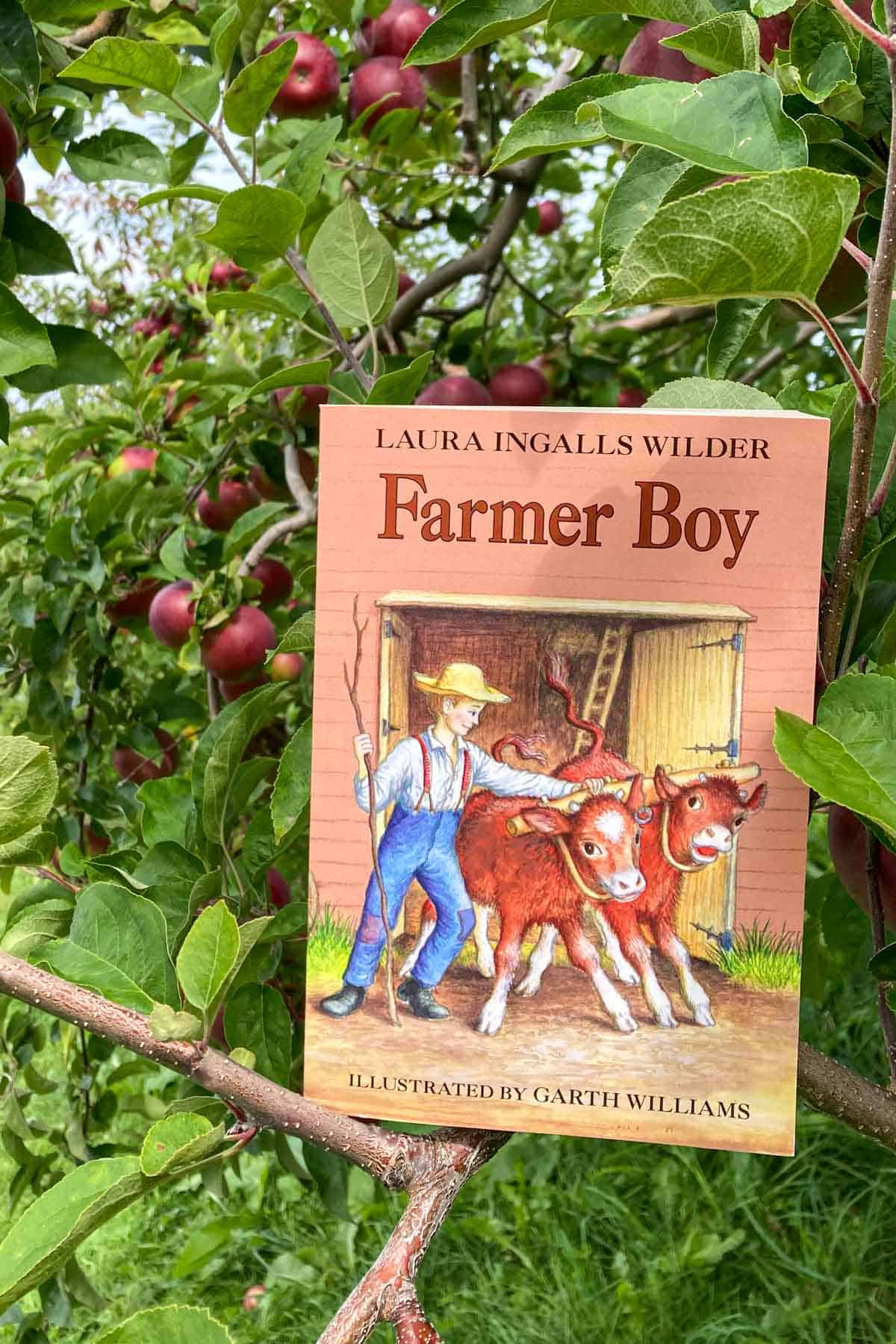 The cover of the book "Farmer Boy", with an apple orchard in the background.