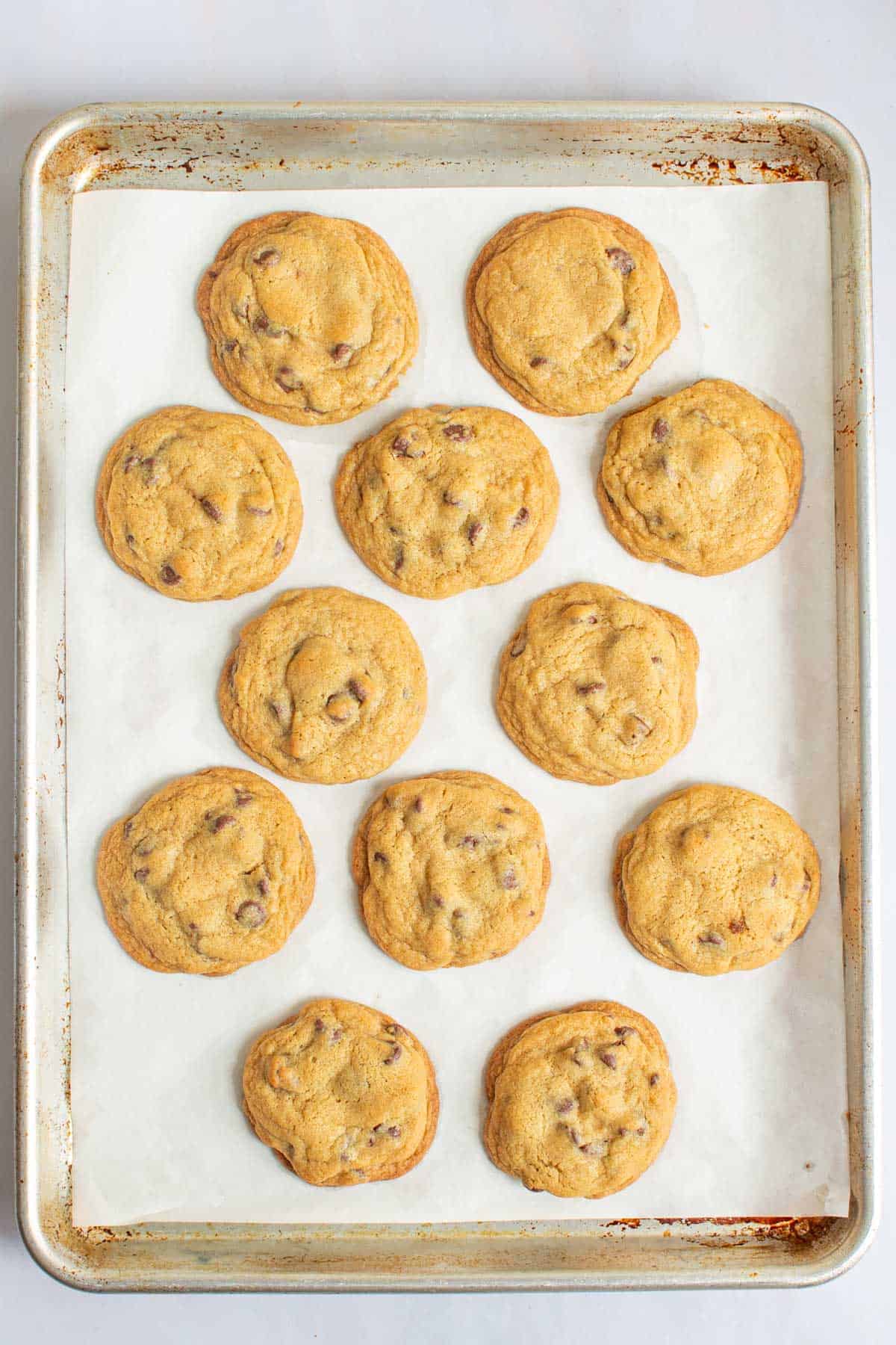 A tray of baked small-batch chocolate chip cookies.