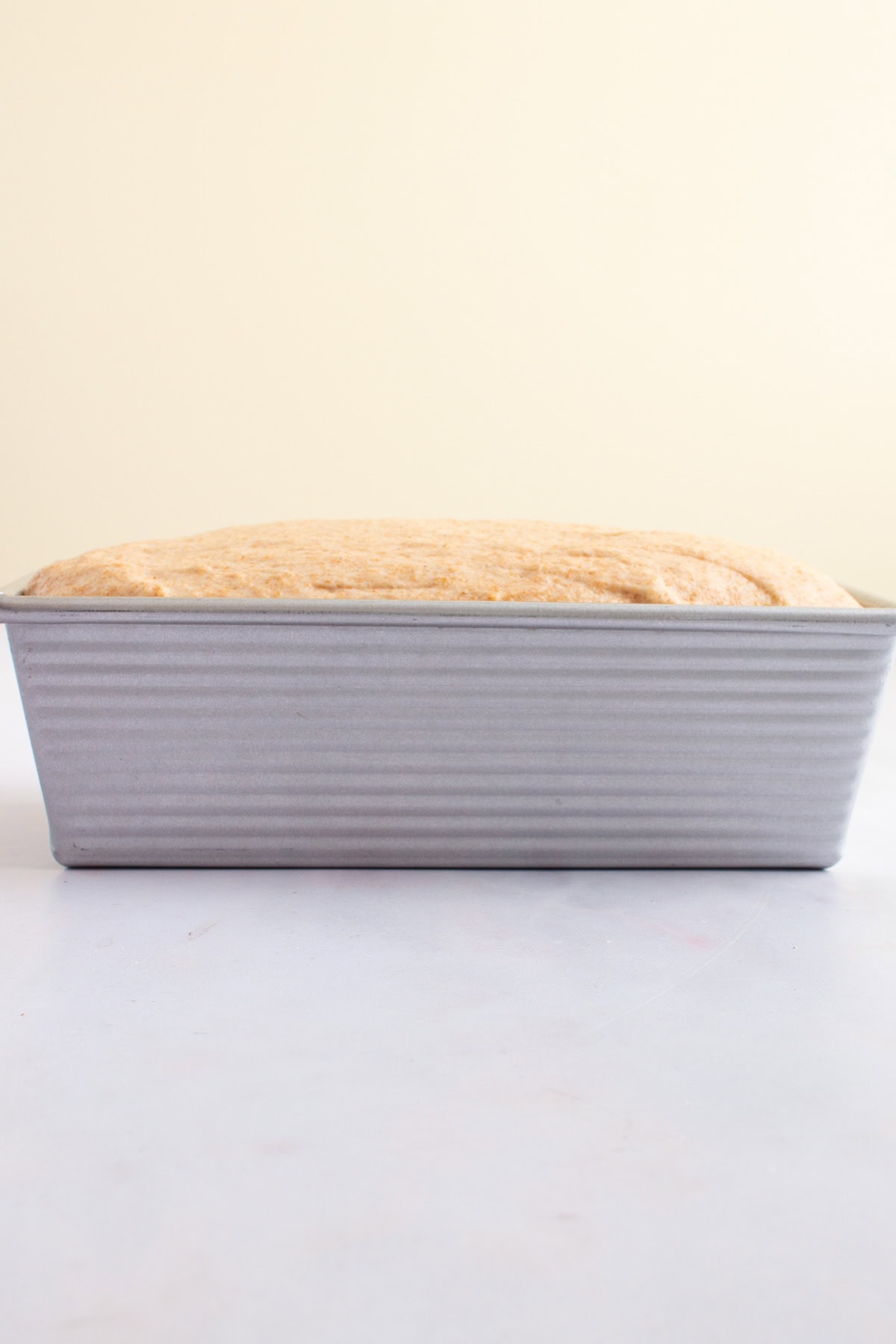 Dough for Easy Honey Wheat Sandwich Bread risen to half an inch above the edge of a loaf pan.