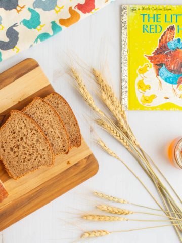 The cover of the book The Little Red Hen next to a loaf of sliced honey wheat sandwich bread, stalks of wheat, and a jar of honey.