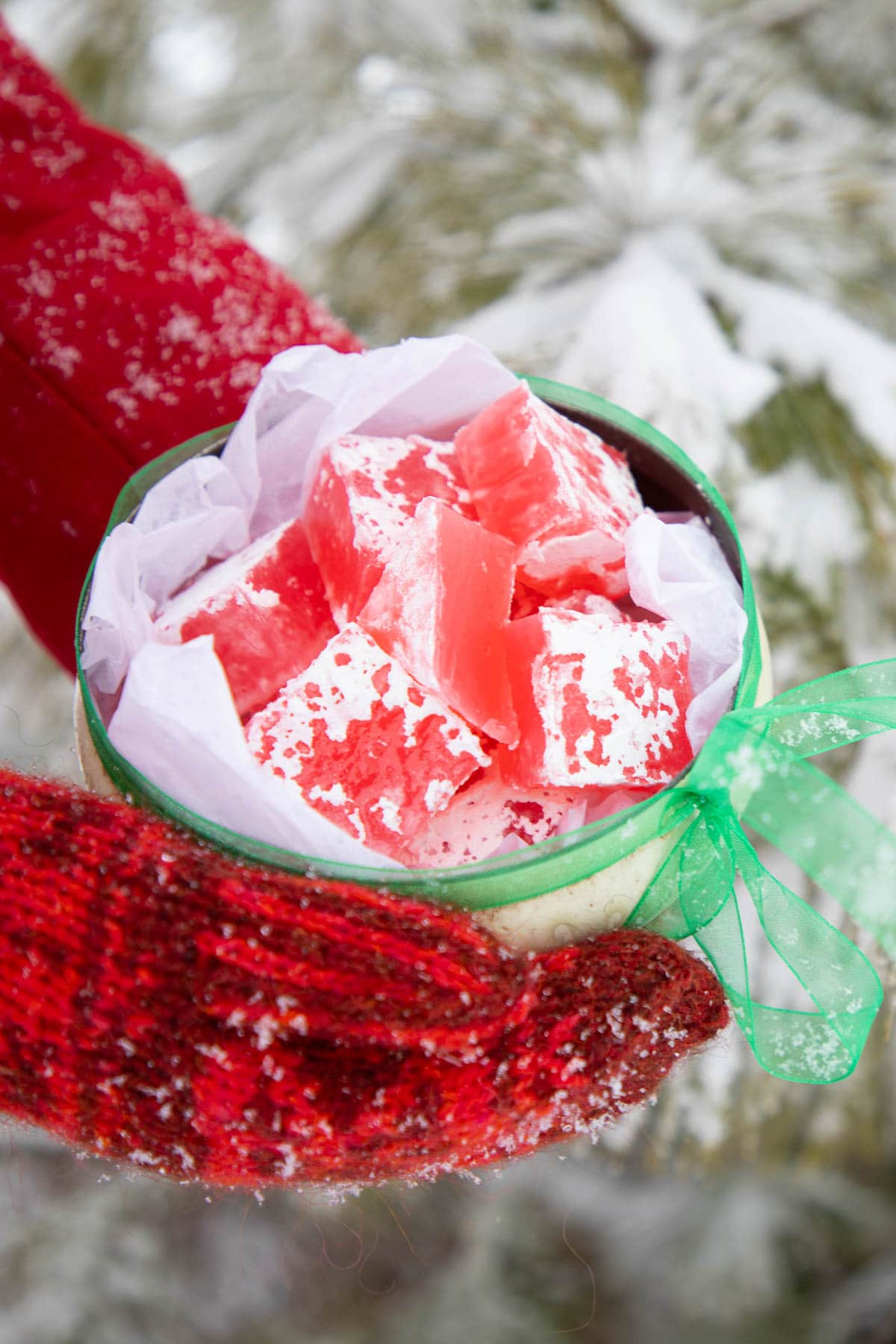 Hands in mittens holding a container of Turkish Delight in a snowy forest.